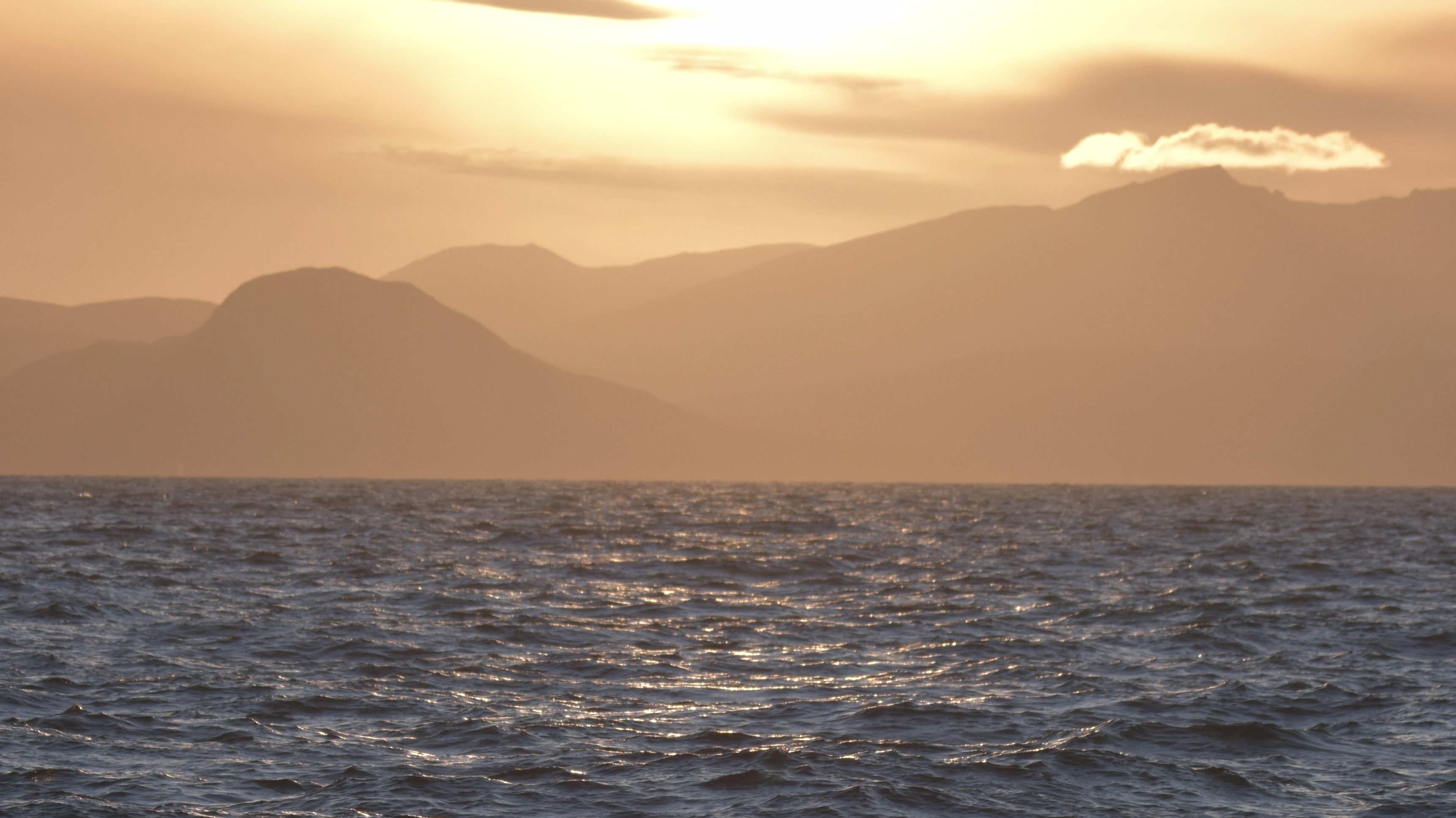 Braxton Studios x The King's Trust